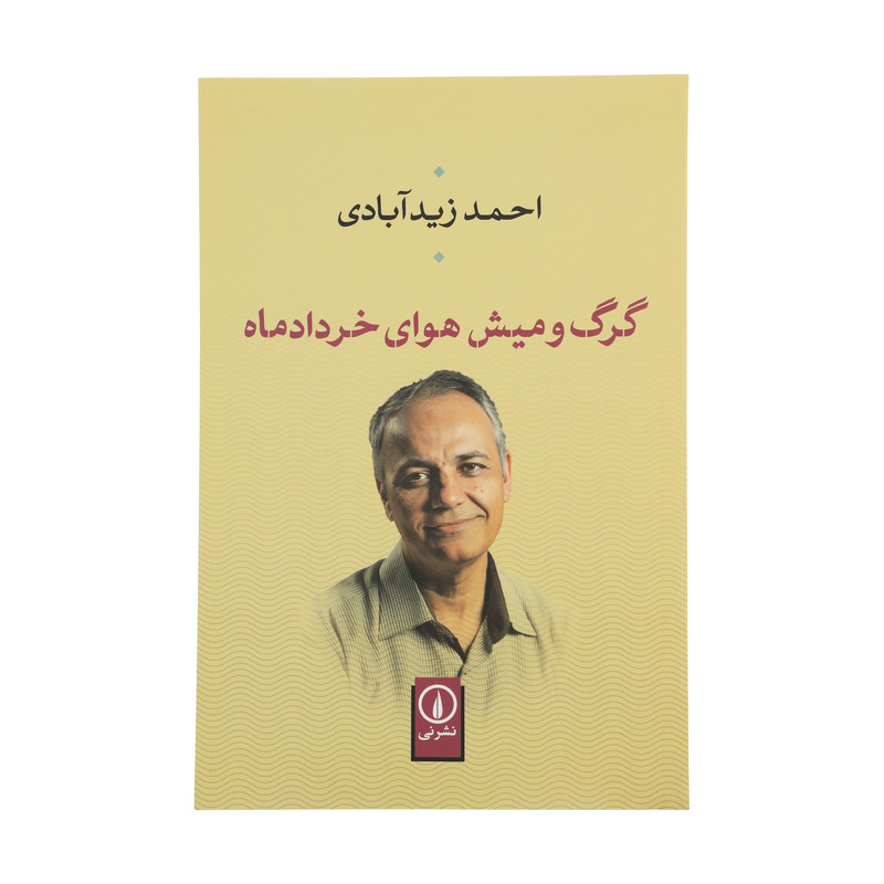 کتاب گرگ و میش هوای خرداد ماه اثر احمد زیدآبادی نشر نی
