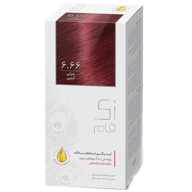 خرید و قیمت کیت رنگ مو زی فام شماره 6.66 حجم 50 میلی لیتر شرابی آتشین