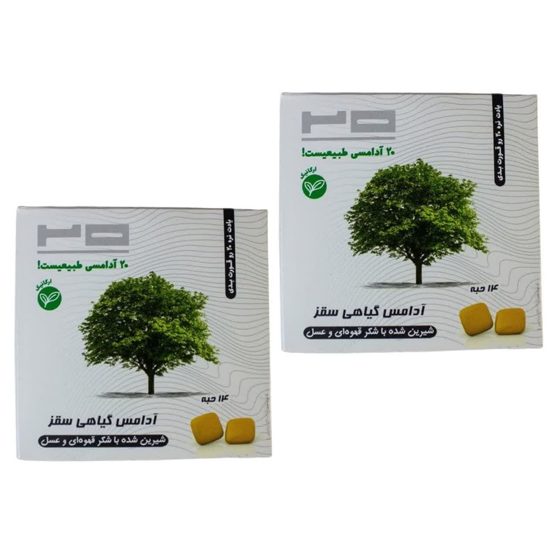 آدامس گیاهی سقز بیست - 25 گرم مجموعه 2 عددی