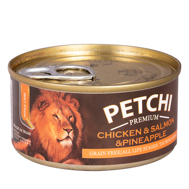 کنسرو غذای گربه پتچی مدل Chicken & Salmon & Pineapple وزن 120 گرم