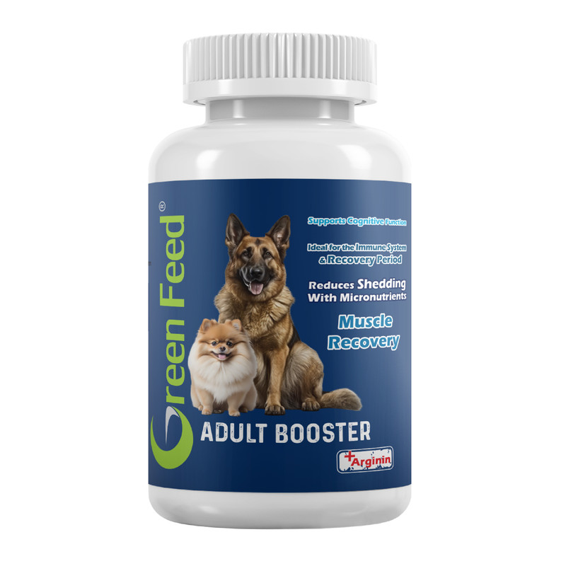 خرید و قیمت مکمل غذایی سگ گرین فید مدل بالغ وزن 250 گرم