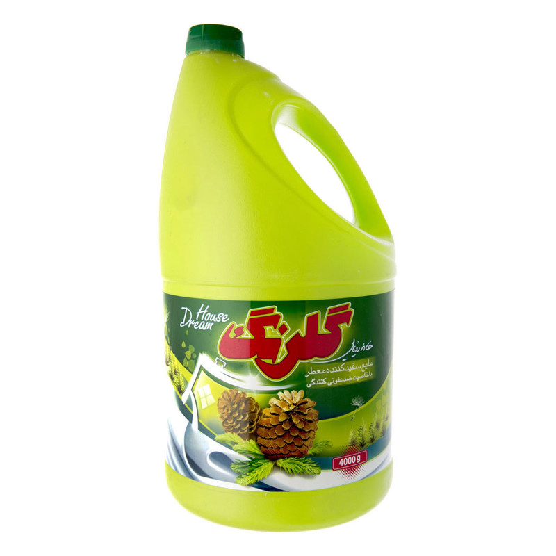 خرید و قیمت مایع سفیدکننده گلرنگ مدل DREAM-HOUSE 2 وزن 4000 گرم