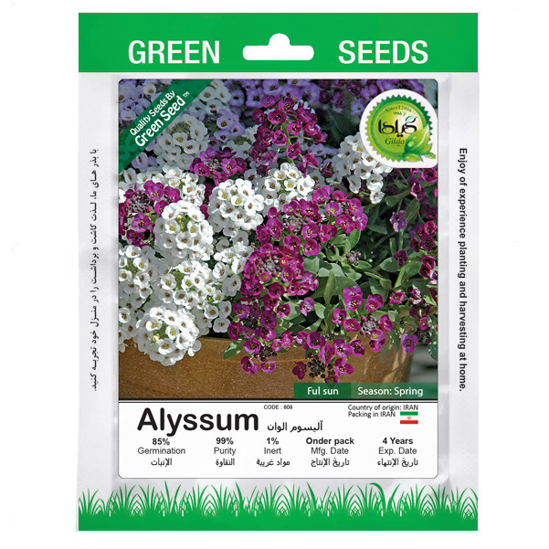 بذر آلیسوم الوان گیلدا کد 808