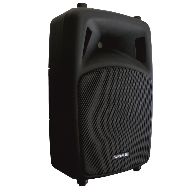 اسپیکر پسیو اکوچنگ مدل ZX-400