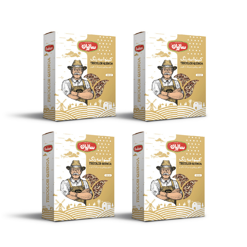 کینوای سه رنگ صنایع غذایی سالیان - 300 گرم مجموعه 4 عددی