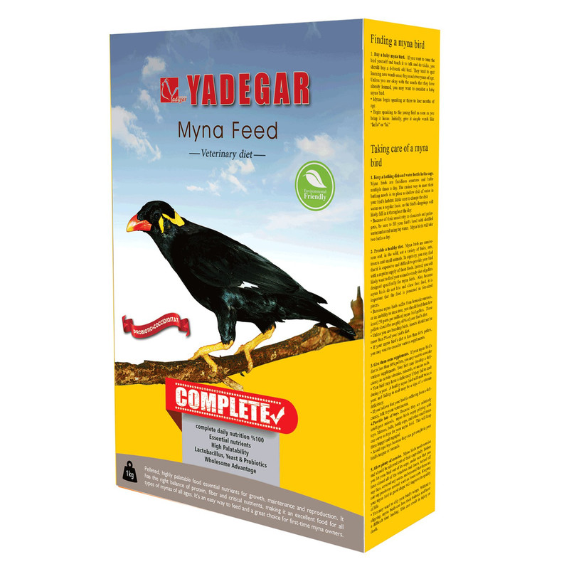 خرید و قیمت غذای مرغ مینا یادگار مدل complete وزن 1000 گرم