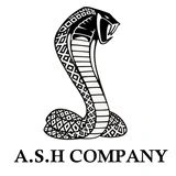 ای اس اچ کمپانی