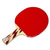 دستهبندی راکت