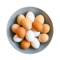دسته‌بندی مواد پروتئینی و تخم مرغ