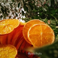 پرتقال خشک 100 گرمی پالیز باکیفیت و تهیه شده از میوه درجه یک
