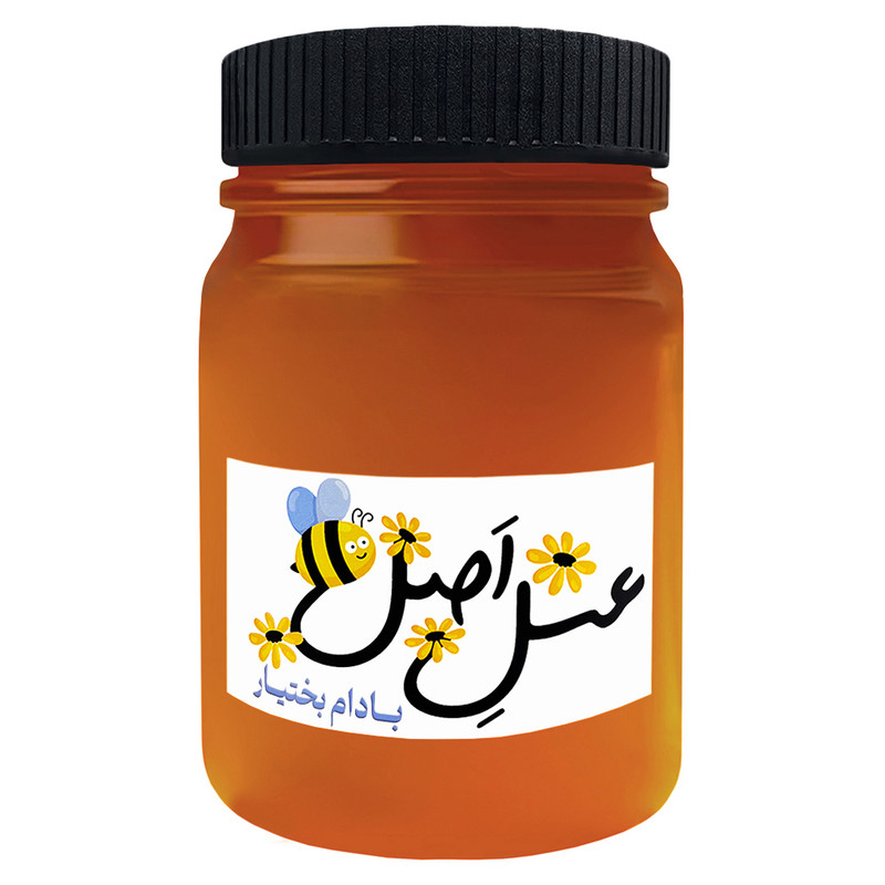 عسل طبیعی شکوفه بادام بختیار - 1 کیلوگرم