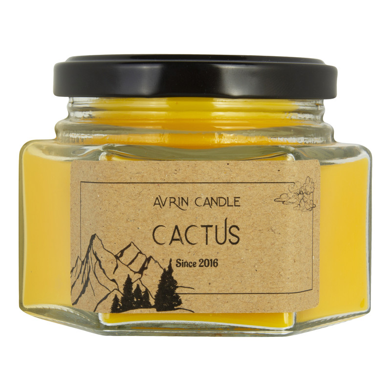 شمع معطر اورین مدل هیوا کاکتوس