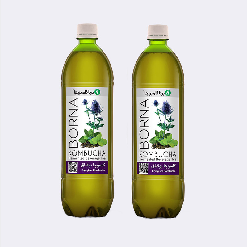 نوشیدنی بوقناق کامبوچا -1 لیتر بسته 2 عددی