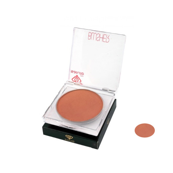 خرید و قیمت رژگونه سالوته شماره 450