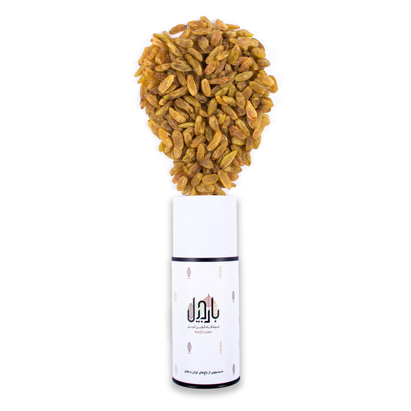 خرید و قیمت کشمش سبز بارجیل - 500 گرم