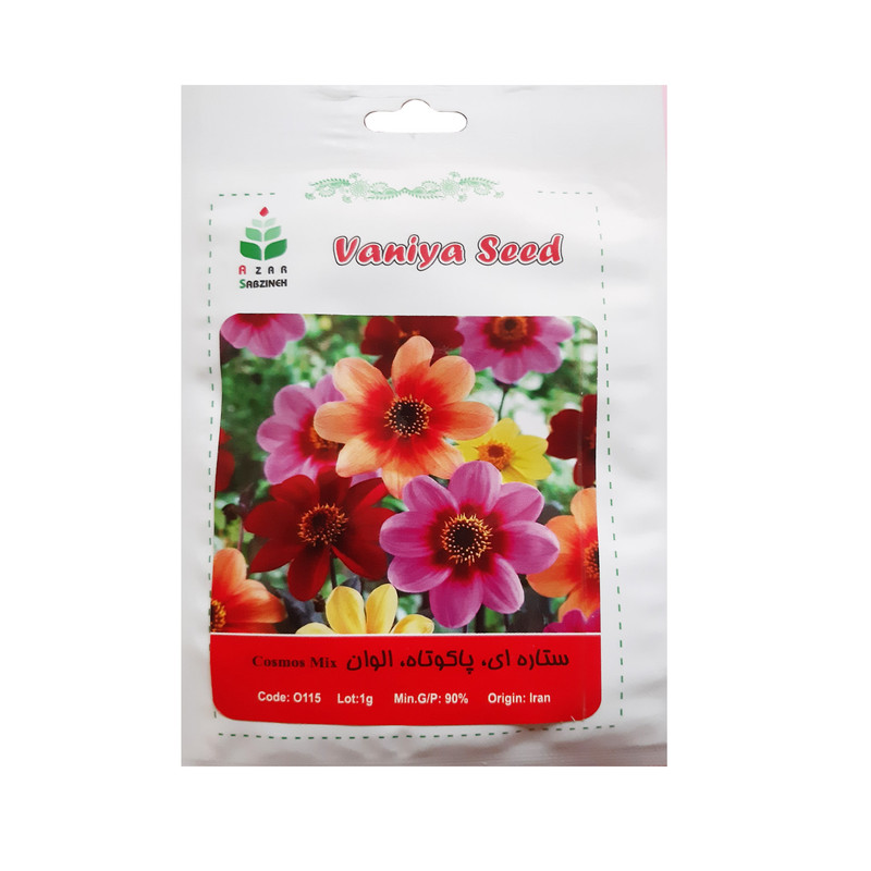 خرید و قیمت بذر ستاره ای پاکوتاه الوان آذر سبزینه مدل O115