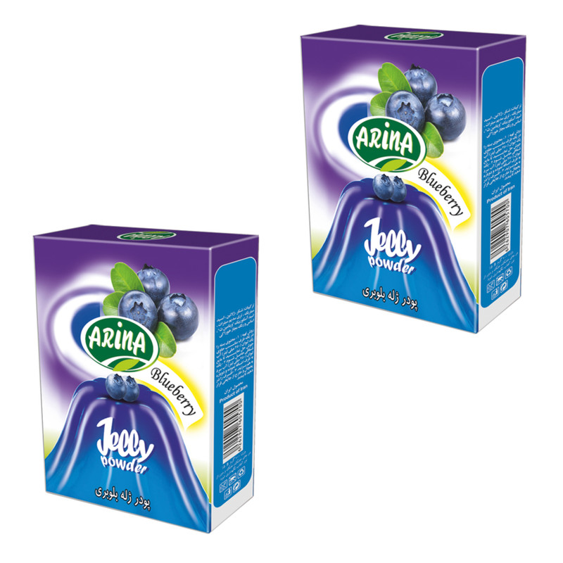 خرید و قیمت پودر ژله بلوبری آرینا - 100 گرم بسته 2 عددی