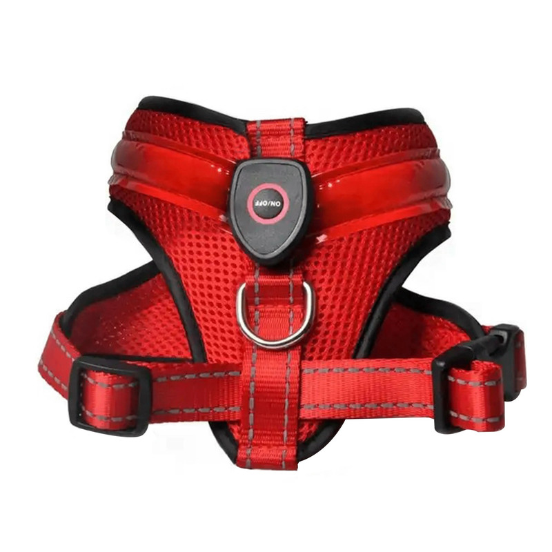 خرید و قیمت قلاده طرح چراغدار مدل FH01 RD