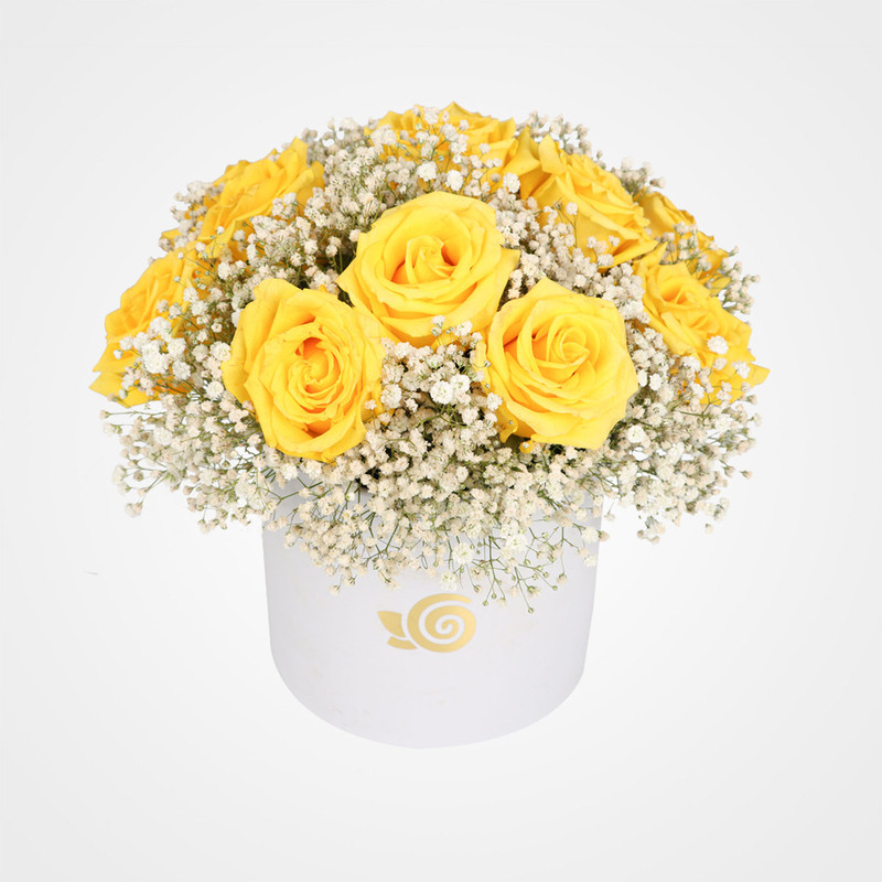 جعبه گل رز مدل رونا