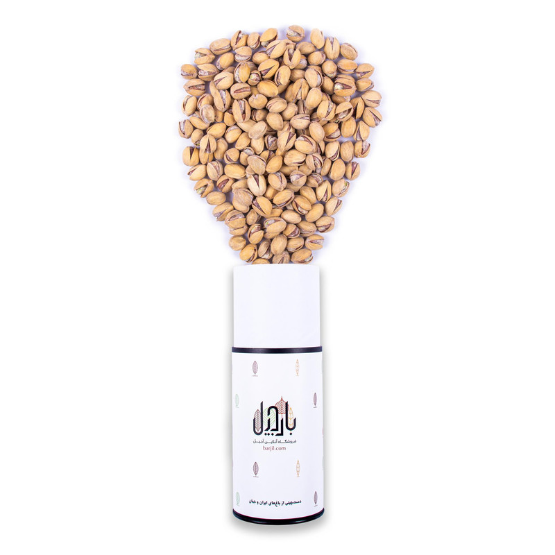 خرید و قیمت پسته فندقی برشته پودری بارجیل - 500 گرم