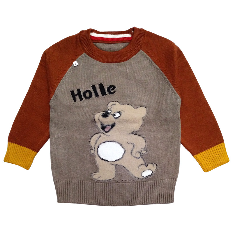 پلیور پسرانه مدل Bear کد BRW