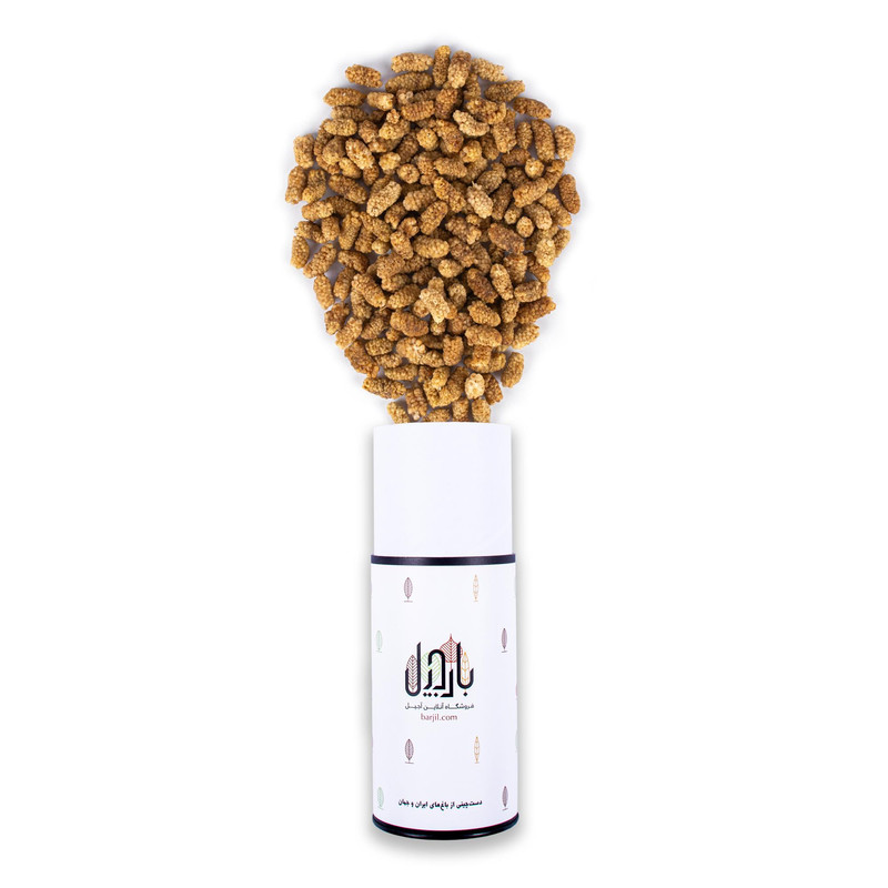 خرید و قیمت توت خشک ممتاز بارجیل - 500 گرم