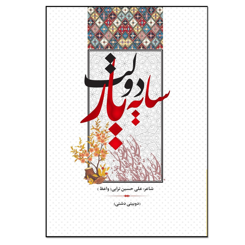 کتاب سایه دولت یار اثر علی حسین ترابی انتشارات نسل روشن