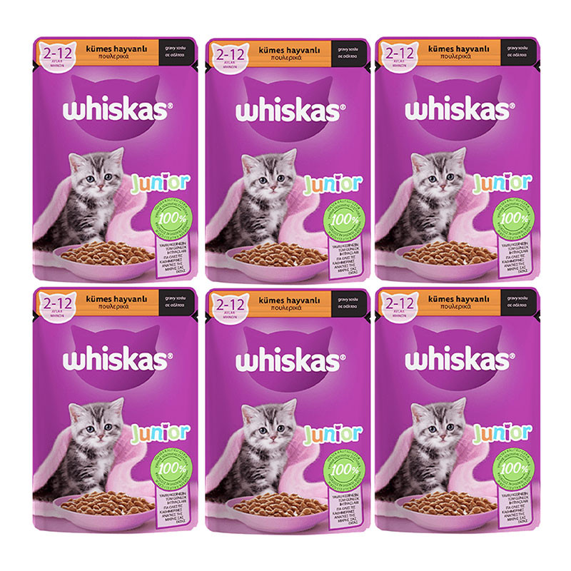 پوچ بچه گربه ویسکاس مدل Junior وزن 85 گرم بسته 6 عددی