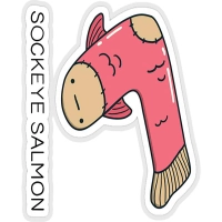 استیکر لپ تاپ طرح sockeye salmon کد ST1689