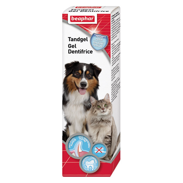 ژل دندان سگ و گربه بیفار مدل tooth gel وزن 100 گرم