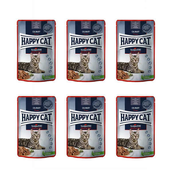 پوچ گربه هپی کت مدل بیف وزن 85 گرم بسته 6 عددی