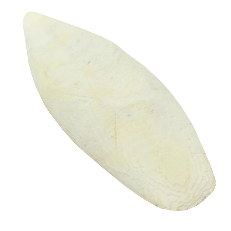 کف دریا پرندگان مدل دریا کد 153 وزن 60 گرم