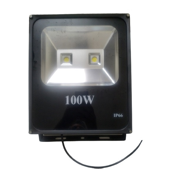 پروژکتور 100 وات مدل PRO100WCITZWH