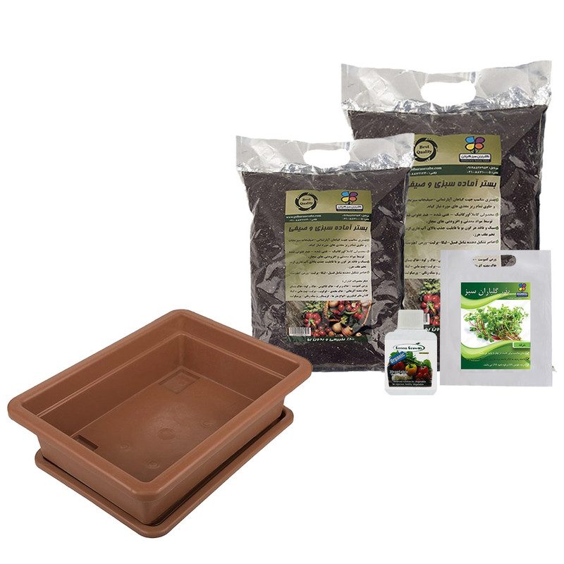 مجموعه کاشت سبزی خرفه گلباران سبز