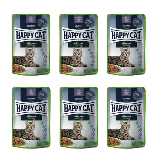 پوچ گربه هپی کت مدل بره وزن 85 گرم بسته 6 عددی