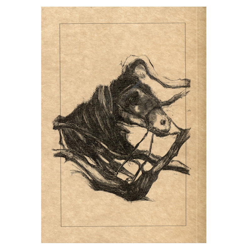 کتاب دایره سفید ذهن اثر سمیرا حاج هاشمی اتشارات نظام الملک