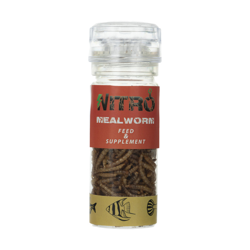 غذای خشک نیترو مدل Meal Worm مقدار 25 گرم