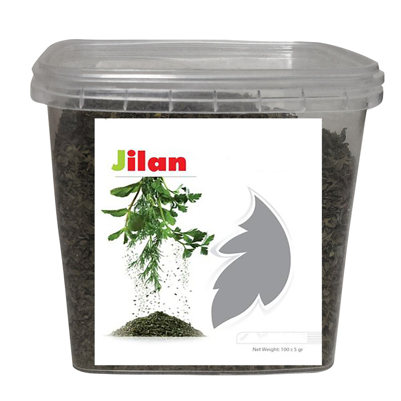 سبزی خشک شوید جیلان - 100 گرم بسته 2 عددی