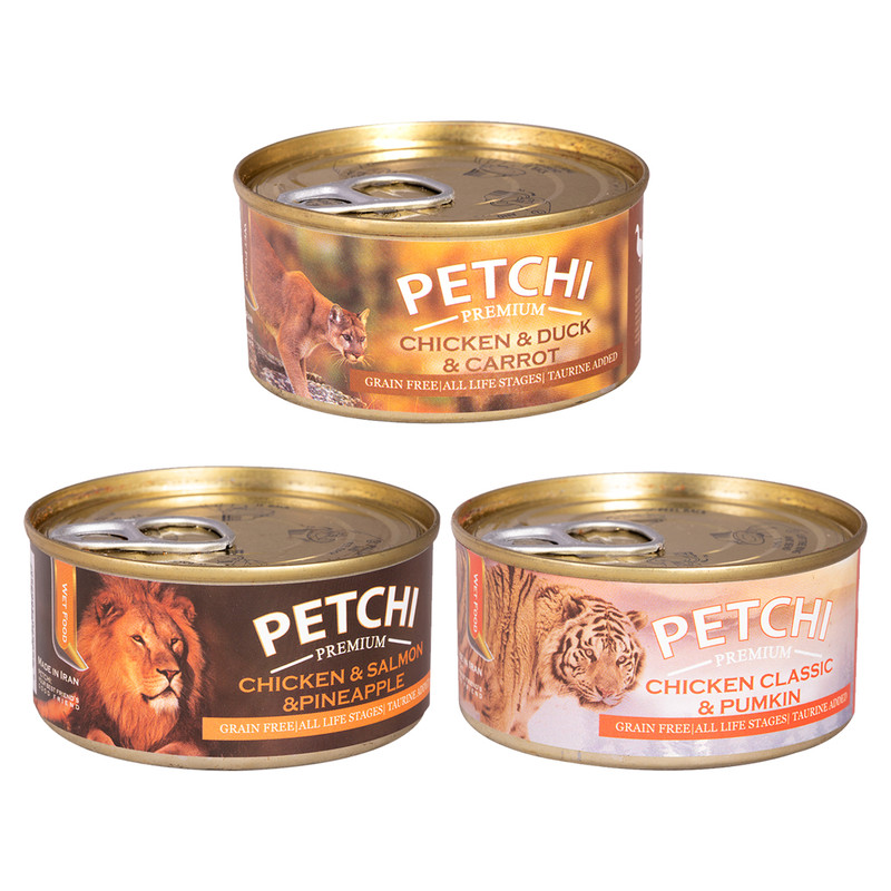 کنسرو غذای گربه پتچی مدل Fillet وزن 120 گرم مجموعه 3 عددی