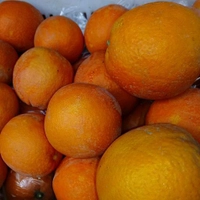 پرتقال تامسون مازندران ده کیلویی
