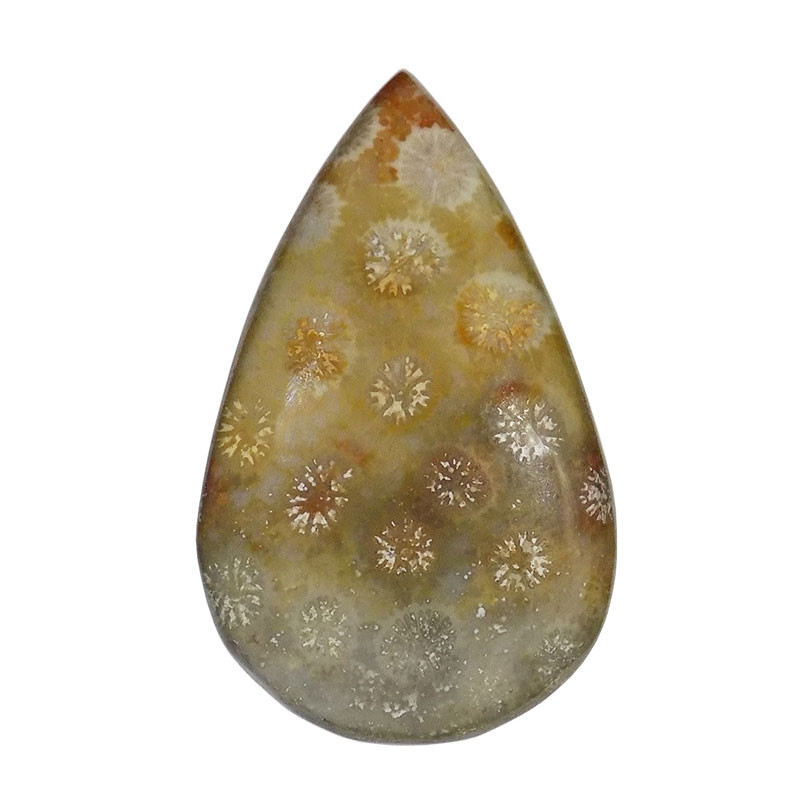 سنگ فسیل مرجان کد TG6146