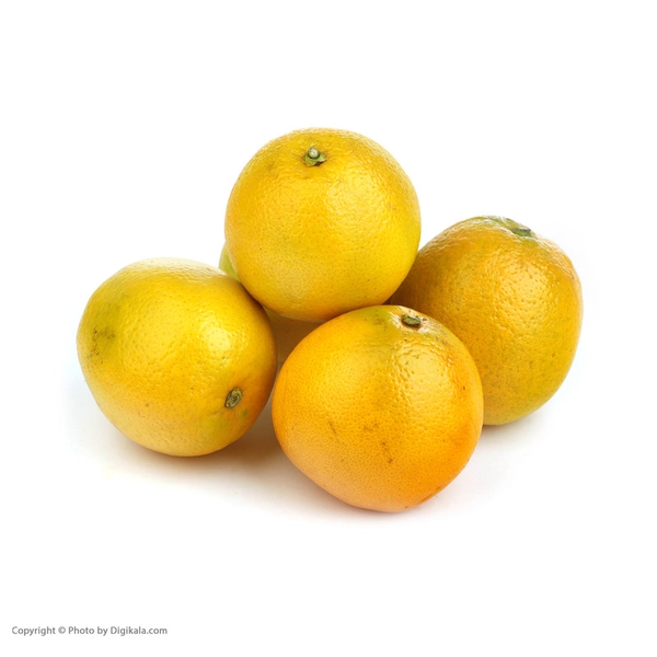 پرتقال شمال میوری - 1 کیلوگرم 22
