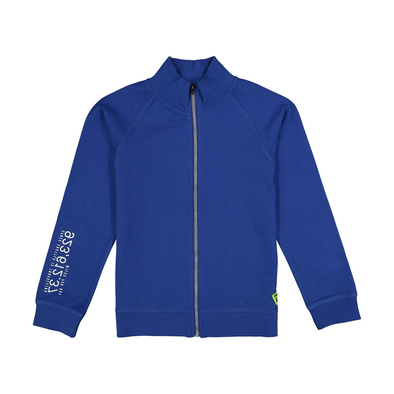 سویشرت پسرانه او وی اس مدل 007906103-BLUE