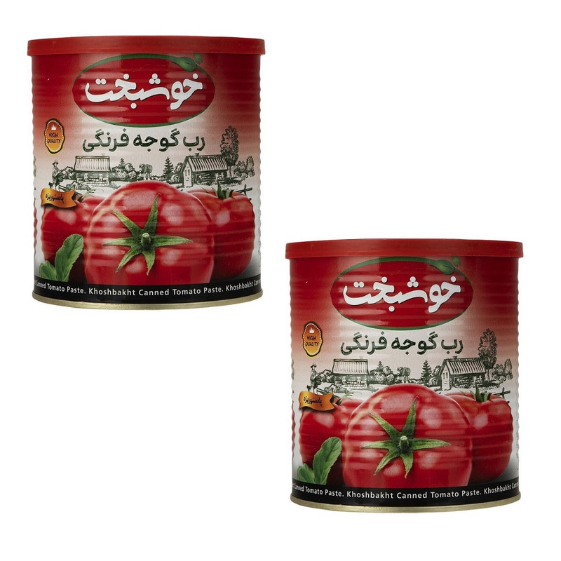 خرید و قیمت رب گوجه فرنگی خوشبخت - 800 گرم بسته 2 عددی