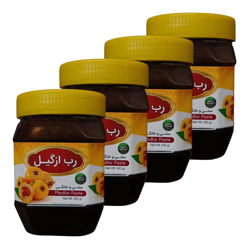 رب ازگیل سنتی جالینوس - 450 گرم بسته 4 عددی