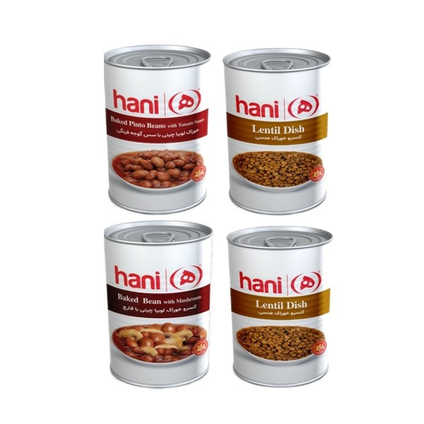 کنسرو لوبیا و عدسی هانی - 380 گرم بسته 4 عددی