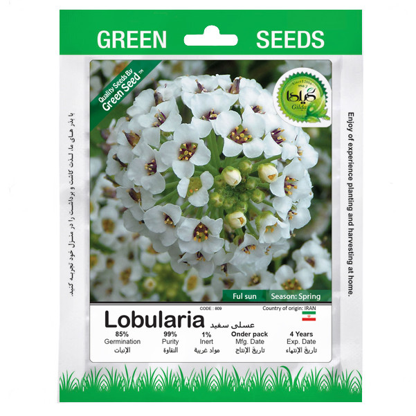 بذر عسلی سفید گیلدا کد 809