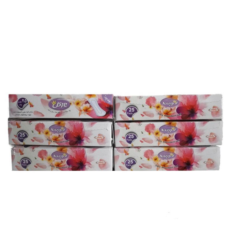 پد بهداشتی نازگل مدل 02 بسته 6 عددی