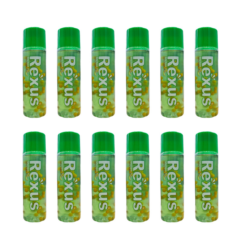 خرید و قیمت نوشیدنی پالپ دار حبابی طالبی با تکه های آلوئه ورا رکسوس - 320 میلی لیتر بسته 12 عددی