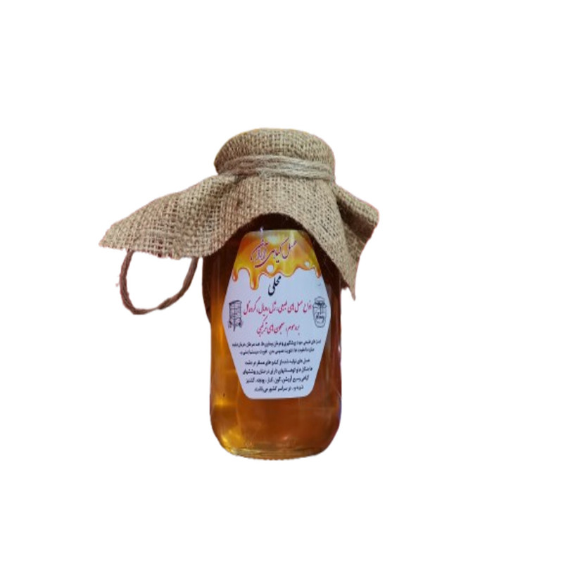 خرید و قیمت عسل چند گیاه آران - 650 گرم